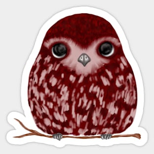 Little Owl Sticker